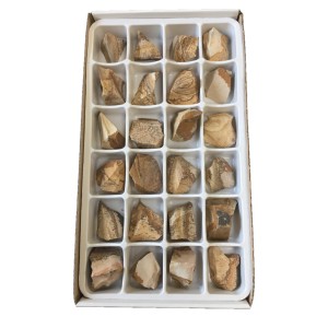 Paisagem (Picture) Jasper Rough Stone Box - 24 Pcs